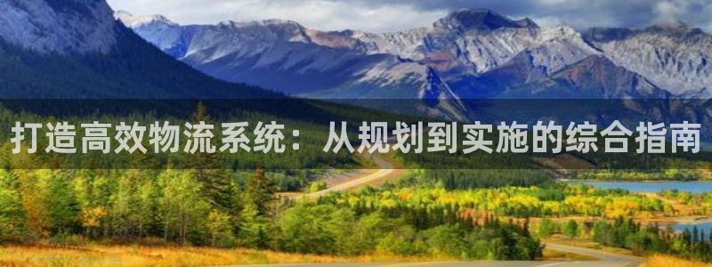 28圈注册号：打造高效物流系统：从规