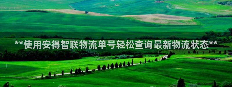 28圈注册步骤：**使用安得智联物流