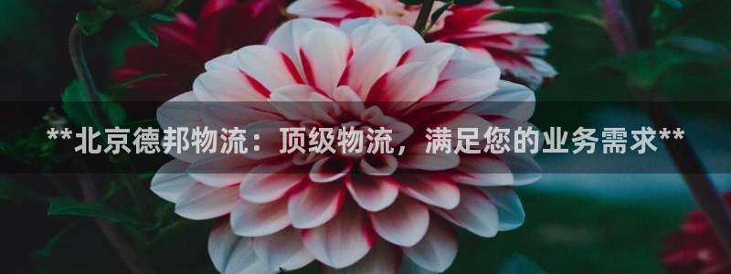 28圈登录流程：**北京德邦物流：顶