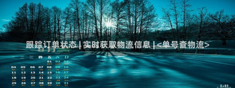 28圈充值方式：跟踪订单状态 | 实