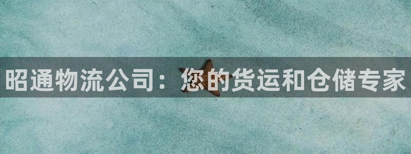 28圈圈：昭通物流公司：您的货运和仓