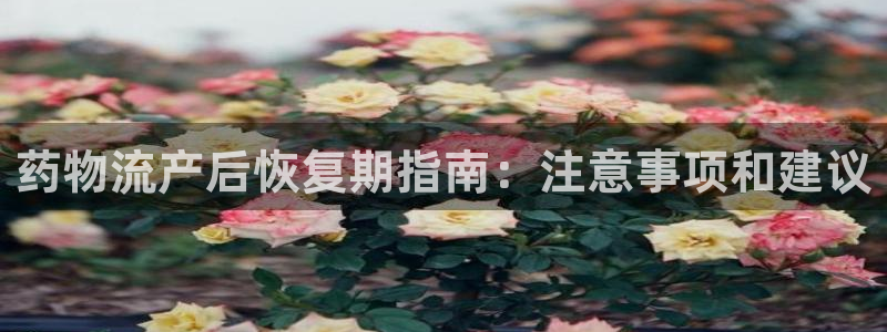 28圈圈助手