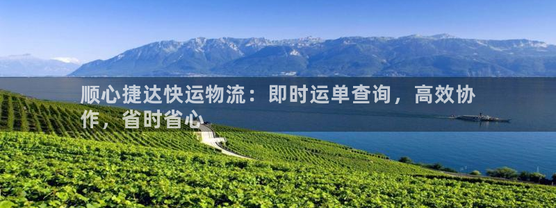 28圈链接是什么：顺心捷达快运物流：