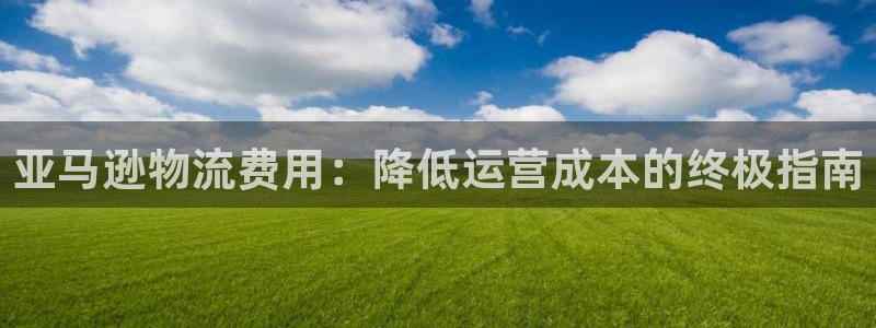 28圈最稳打法：亚马逊物流费用：降低