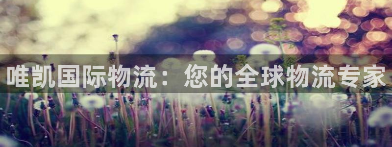 28圈和南宫28什么关系