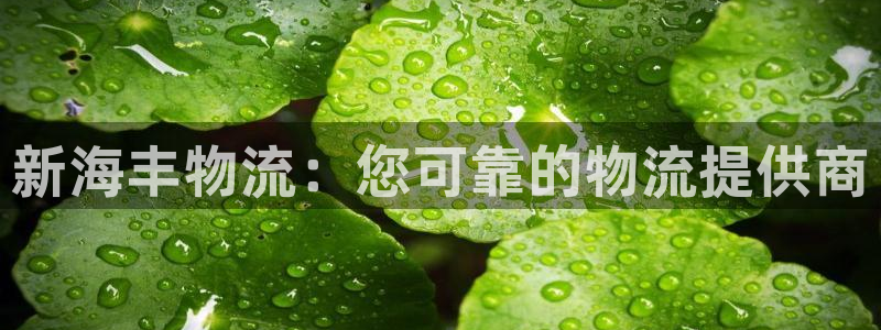 28圈充值金额随便：新海丰物流：您可