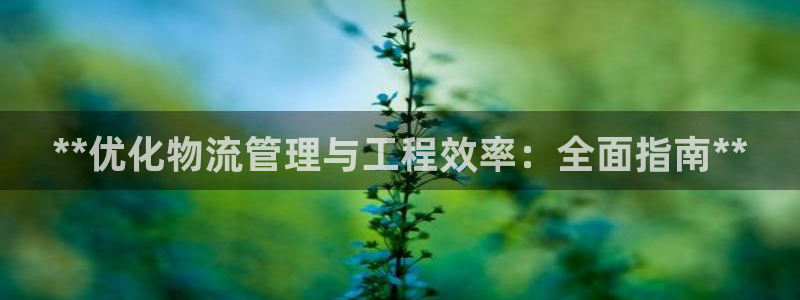 28圈能赢钱吗：**优化物流管理与工