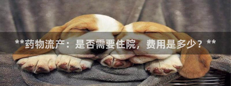 28圈自行车图片大全