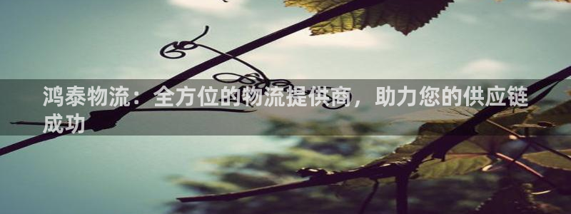 28圈登录不上咋回事：鸿泰物流：全方