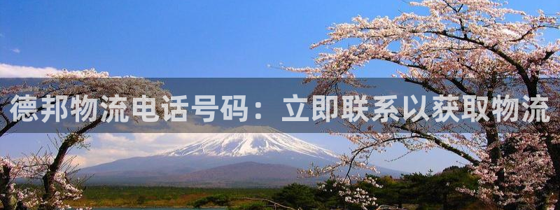 28圈模拟器：德邦物流电话号码：立即