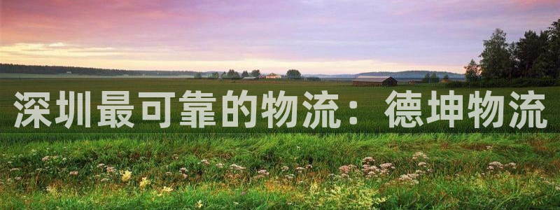 pc28圈怎么注册：深圳最可靠的物流