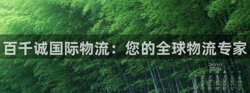 28圈链官网：百千诚国际物流：您的全
