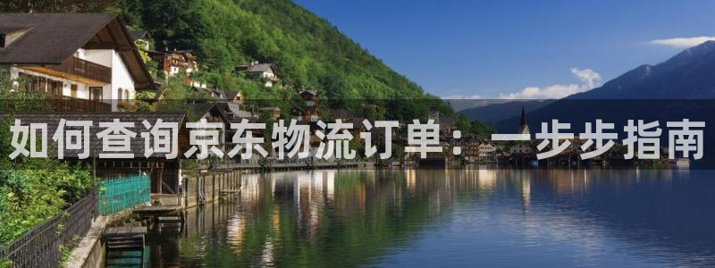 28圈充值方式：如何查询京东物流订单