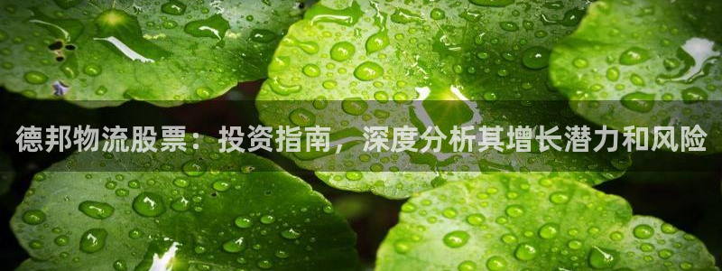 28圈娱乐官网网页下载：德邦物流股票