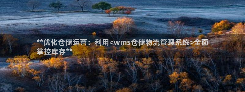 28圈注册步骤