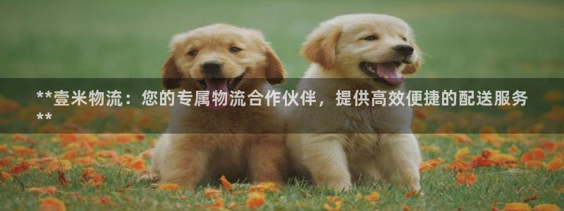 28圈网站怎么注册：**壹米物流：您