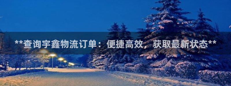 28圈取保：**查询宇鑫物流订单：便