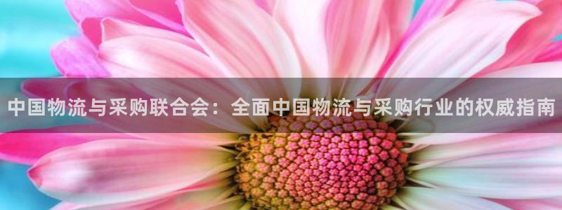 28圈下载不了
