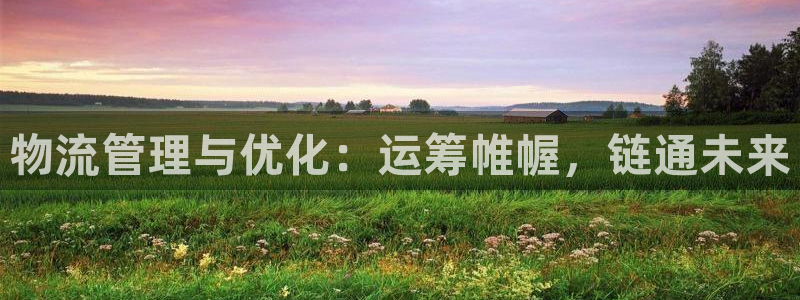 28圈退款：物流管理与优化：运筹帷幄