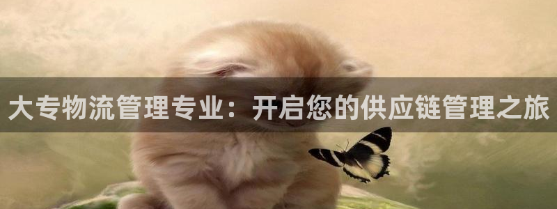 28圈官网注册：大专物流管理专业：开
