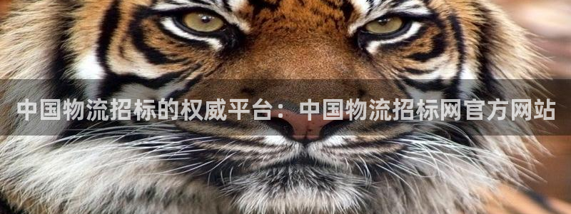 28圈取保：中国物流招标的权威平台：