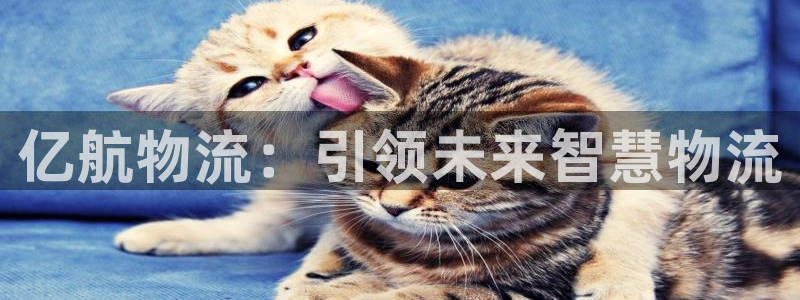 28圈加拿大能提现吗：亿航物流：引领