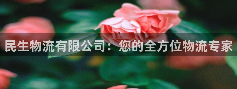 28圈推广链接是多少：民生物流有限公