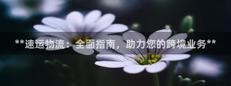 28圈p扣除是什么意思：**速运物流