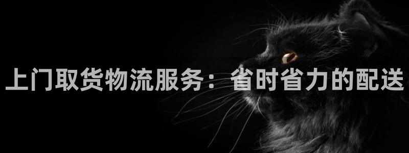 28圈选28ng官网