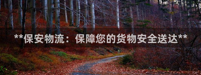 28圈充值不到账怎么办：**保安物流