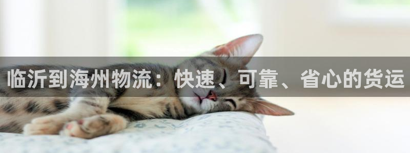 28圈是干嘛的：临沂到海州物流：快速