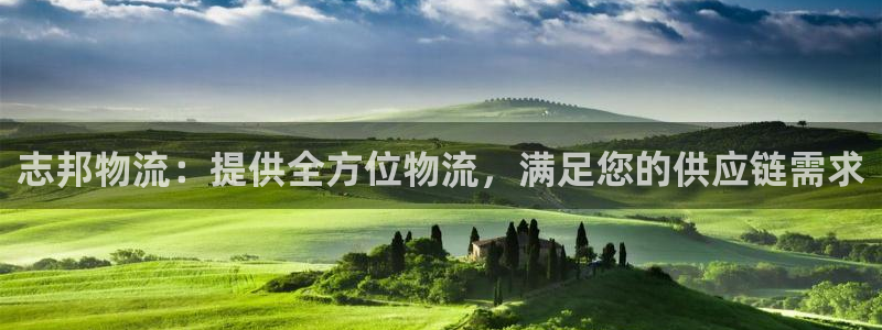 28圈充值不处理：志邦物流：提供全方