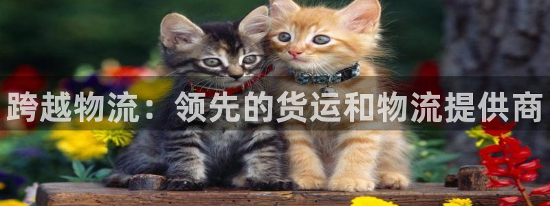 28圈游戏最新版