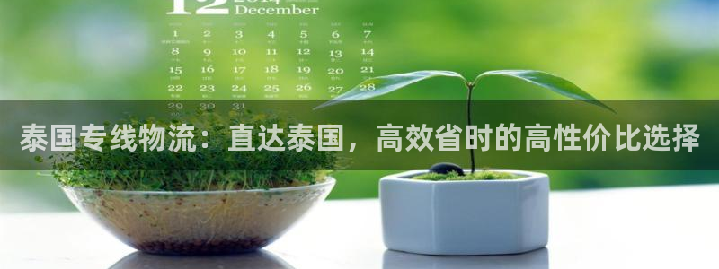 28圈二维码