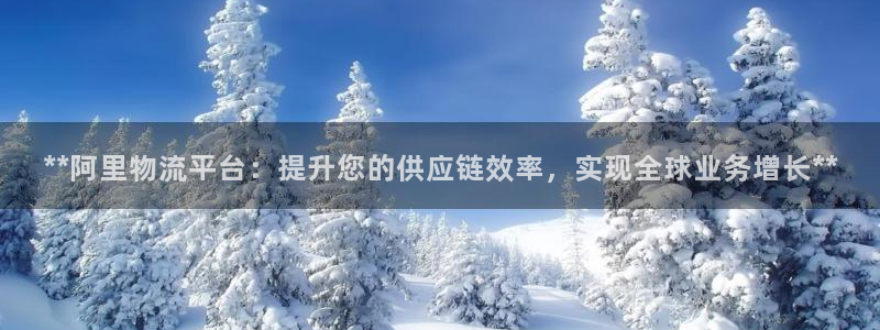 28圈吧：**阿里物流平台：提升您的