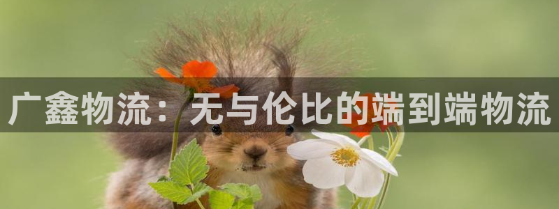28圈模拟器：广鑫物流：无与伦比的端
