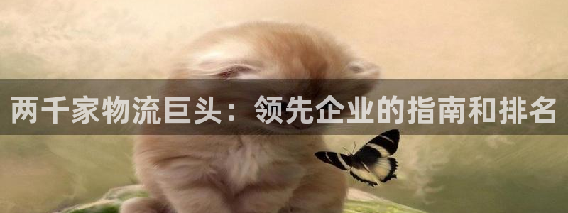 自行车28圈是什么意思：两千家物流巨