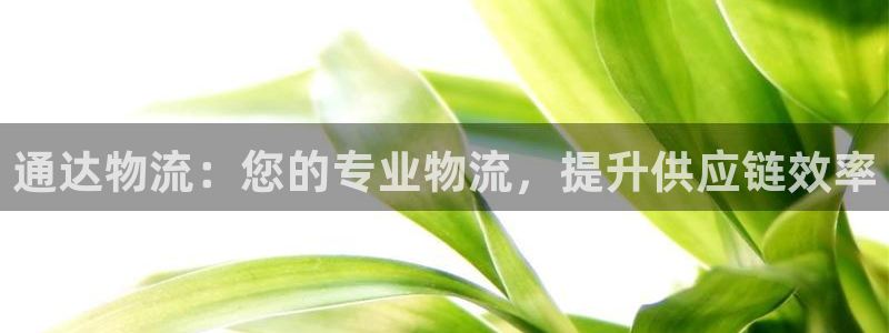 28圈图片：通达物流：您的专业物流，