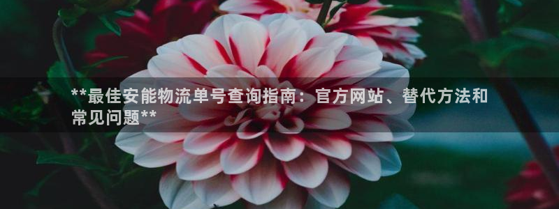28圈激活码：**最佳安能物流单号查