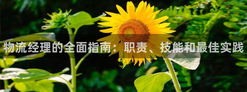 28圈模拟器在线使用：物流经理的全面
