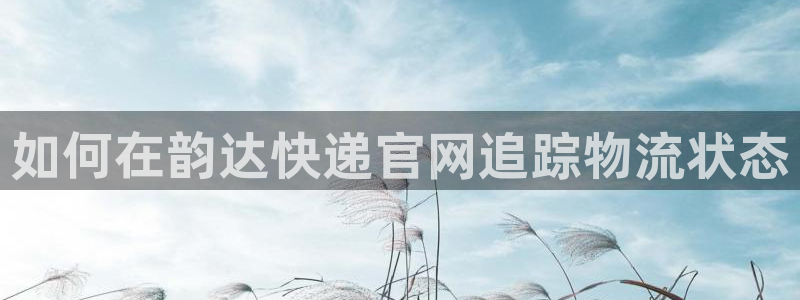 28圈p扣款什么意思：如何在韵达快递