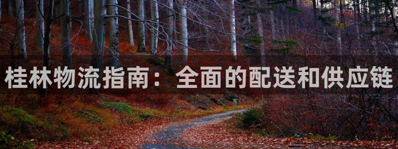 28圈注册官网：桂林物流指南：全面的