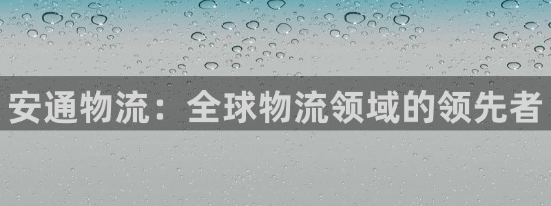 28圈模拟器在线使用：安通物流：全球