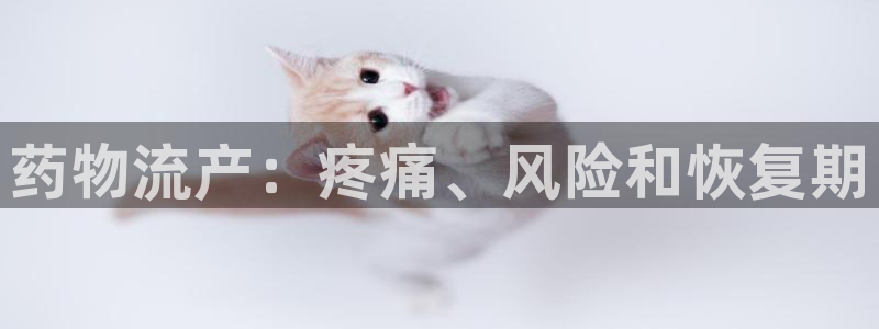 28圈最稳打法
