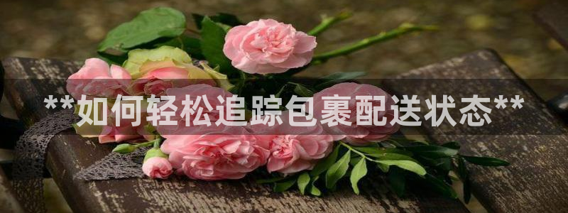 28圈注册教程：**如何轻松追踪包裹