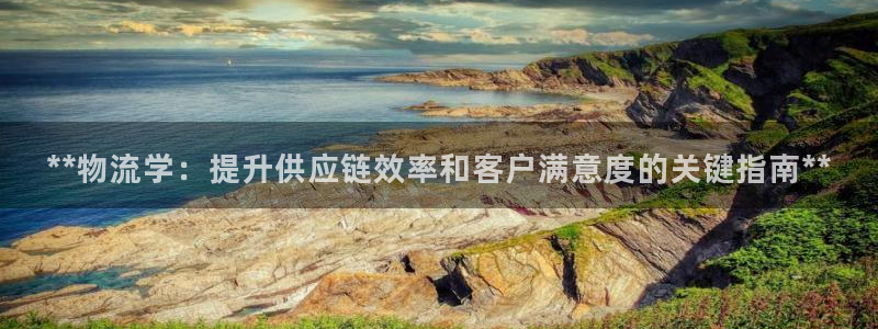 28圈自行车图片