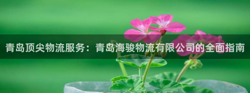 麻将128圈：青岛顶尖物流服务：青岛