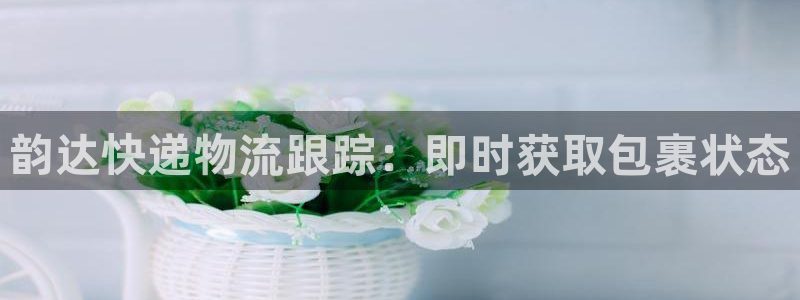 28圈昵称
