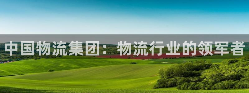 28圈加拿大下载：中国物流集团：物流