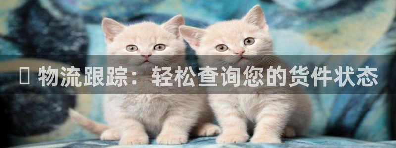 28圈注册网站加拿大：✅ 物流跟踪：